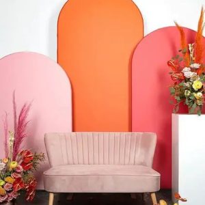 Photoshoot Backdrop8