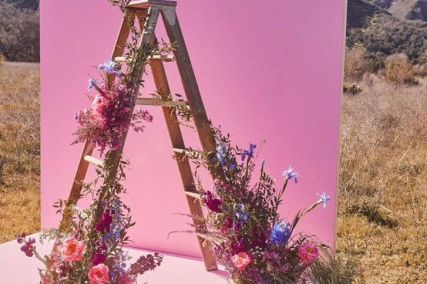 Backdrops-12-resized